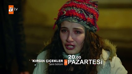Kırgın Çiçekler 73.Bölüm Fragmanı