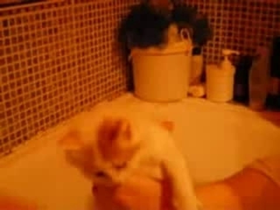 Premier Bain !