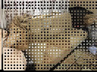 İçerenköy Antika Eşya Alan Yerler - 0542 541 06 06