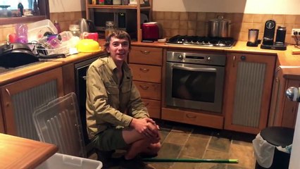 Big Lace Monitor Lizard in the Oven