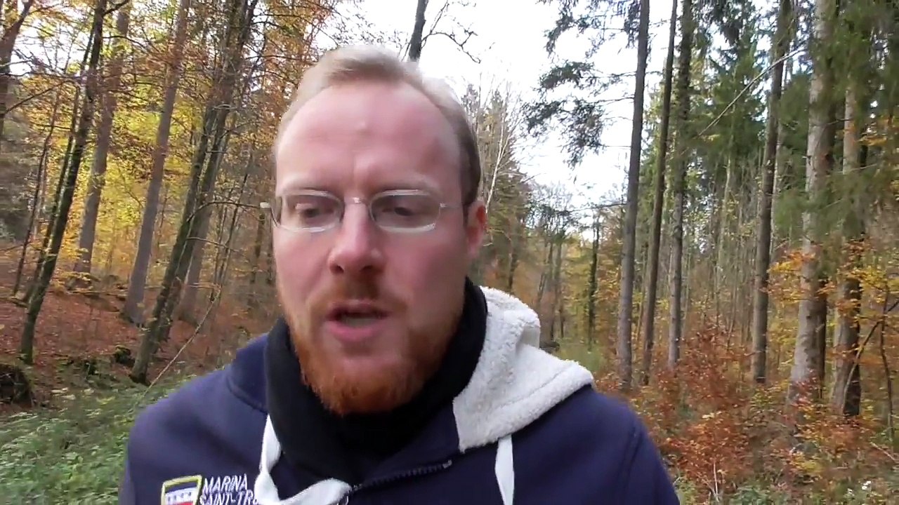 Alibis für die Holocaust Schuld