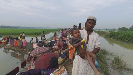 AB İnsani Yardım Komiseri Arakan'daki durumu etnik temizlik olarak nitelendirdi