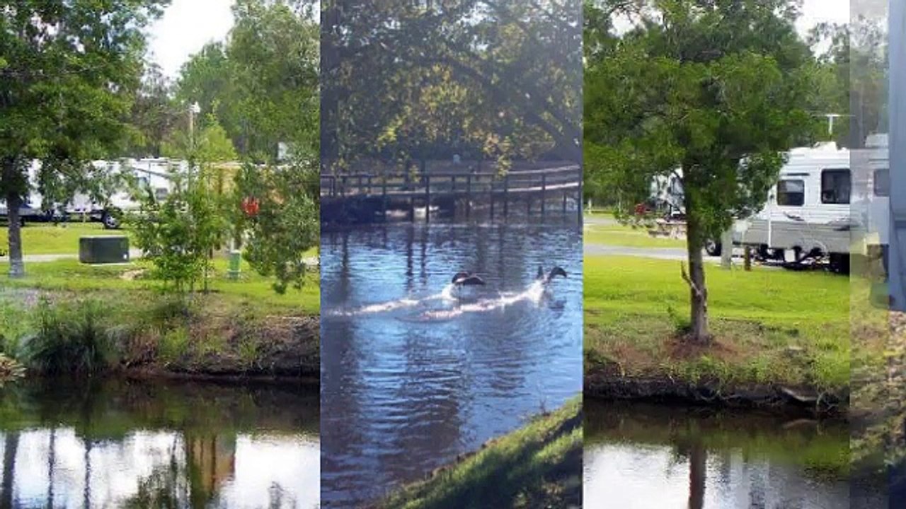 Pensacola RV Campsites | (850) 995-5898