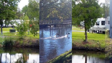 Pensacola RV Campsites | (850) 995-5898