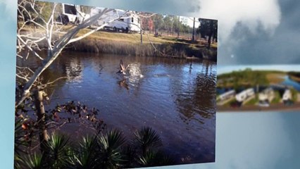 Pull Thru Rv Sites Pensacola | (850) 995-5898