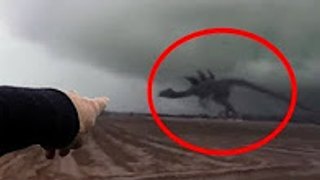 5 Giant Creatures Caught on Camera 2017