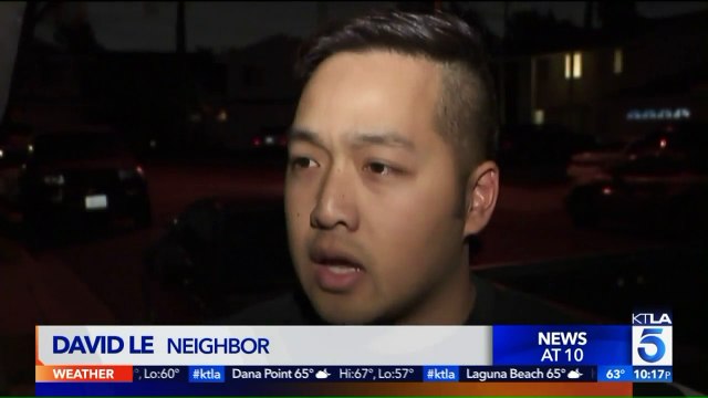 3 Dogs Injured, 1 Seriously, After Being Shot With BB Gun in Southern California