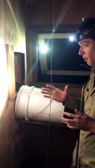 Python in a Chicken Coop