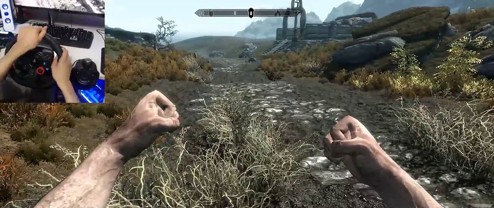 Driverim - Messing around in Skyrim with the Logitech G29
