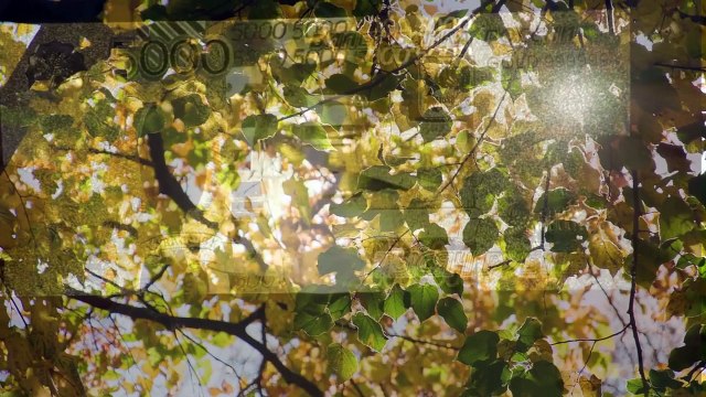 2 МАНТРА ОБРЕЗАНИЯ НИТЕЙ НИЩЕТЫ И БЕДНОСТИ. ПРИКОСНОВЕННИЕ К ЭНЕРГИИ ЛАКШМИ А. Дуйко школа Кайлас