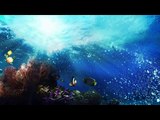 RELAXATION MUSIC FOR STRESS RELIEF HEALING MEDITATION AND DEEP RELAXATION