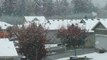 Snow Falls Across Puget Sound Area, Moving North of Seattle