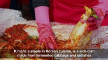 Time for winter, and kimchi festival in Seoul