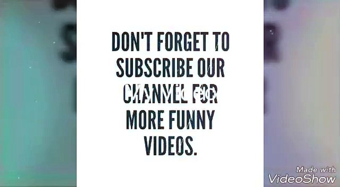 Funny Videos 2017 ● Funny Clips (Shinning Stars) - YouTube