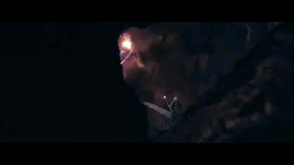 VOUS NE PASSEREZ PAS - LE SEIGNEUR DES ANNEAUX