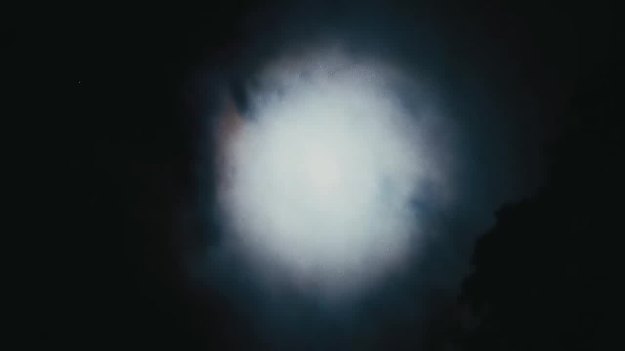 Genesis P-Orridge - Bight of the Twin - Teaser