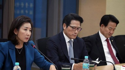 방중 의원단 "中, 트럼프 순방 북핵문제 설득 기회로 인식" / YTN