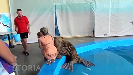 En komik sakarlıklar derlemesi