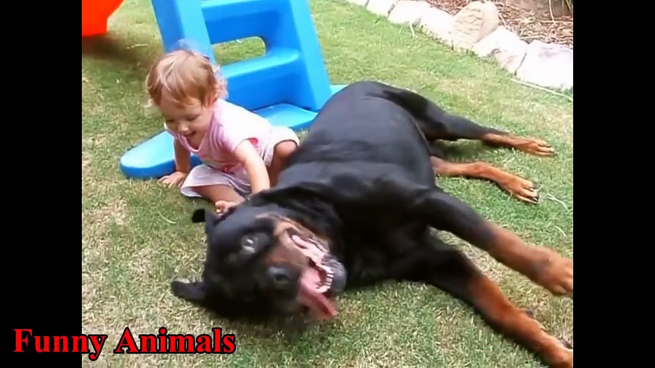 Rottweiler Dogs And Babies Kissing And Playing Happy Together Compilation - Dog Loves Baby videos