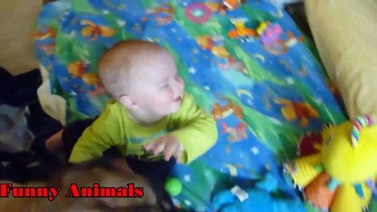 Mastiff Dogs Playing And Protecting Babies Videos Compilation 2016 - Funny Dogs and Babies