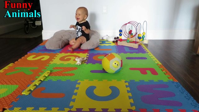 Pomeranian Dog and Baby Laughing and Playing Togetther Compilation - Dog Loves Baby ( NEW VIDEO)