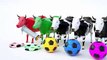 Learn Colors with Soccer Balls for Children Toddlers #h - Learn Colors with Animals Cows for Kids