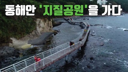 [자막뉴스] '수십억 년의 신비' 동해안 지질공원 / YTN