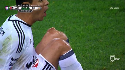 LE GARDIEN OSCAR USTARI SE DÉBOÎTE LE GENOU - 01/11/2017