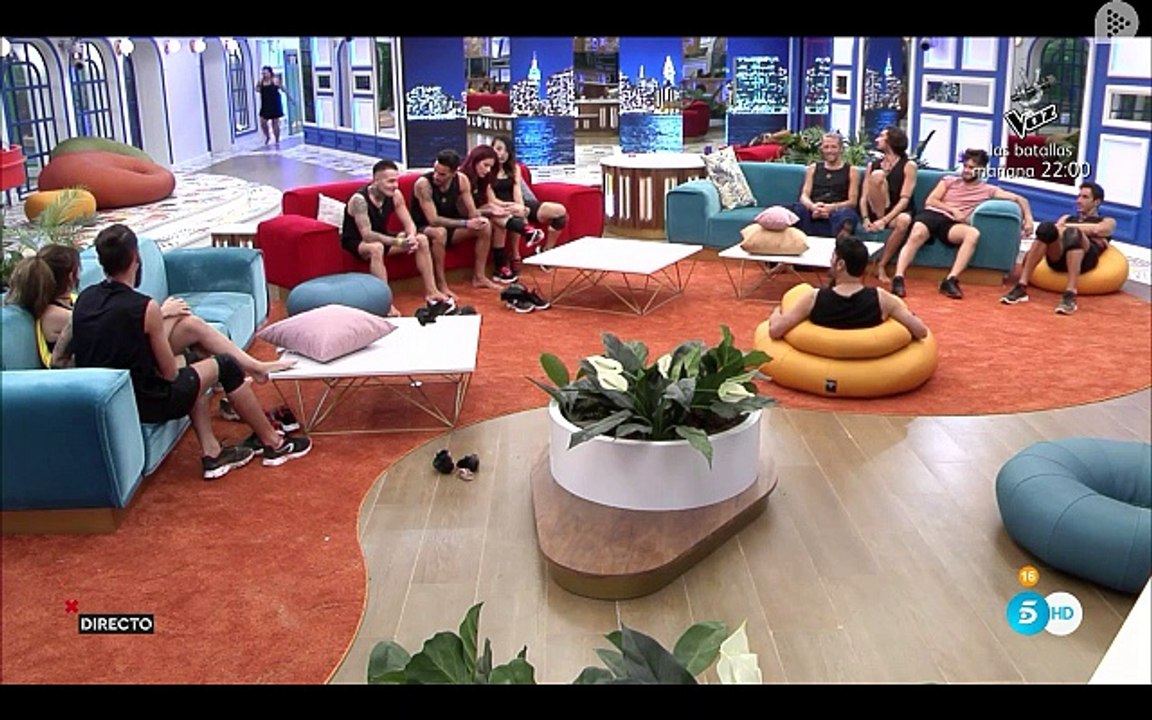 Gala 8  3/3