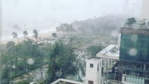 Typhoon Damrey Brings Heavy Downpour and Strong Winds to Vietnam