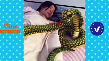 Komik Videolar 2017 ● Aptalca Şeyler Yapan İnsanlar P79