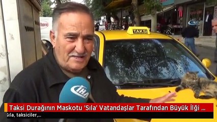 Taksi Durağının Maskotu 'Sıla' Vatandaşlar Tarafından Büyük İlği Görüyor