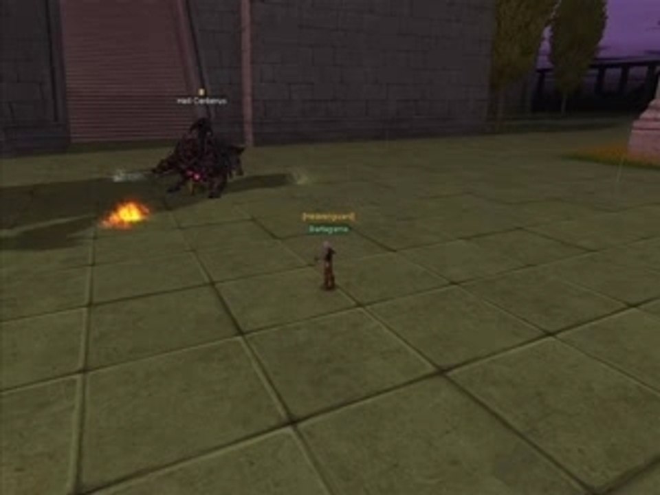 Silkroad hellcerberus