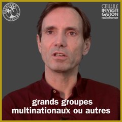 Ce que révèlent les Paradise Papers - Secrets d'info