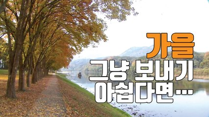 [자막뉴스] 가을의 끝자락 '영동 송호관광지'에서 힐링하세요 / YTN