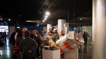 هذا الصباح- روسيا تحيي الذكرى الستين للكلبة لايكا