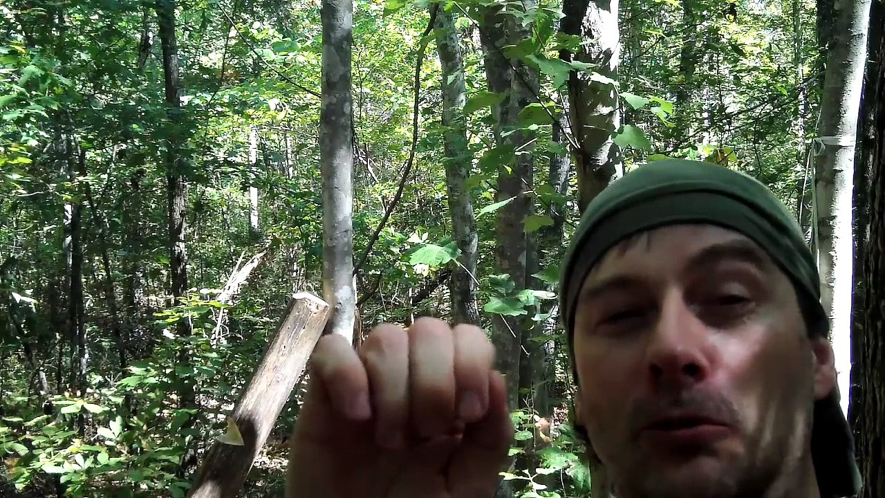 How One Person Can Build A Tree Platform