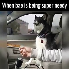 When Bae is Being Super Needy