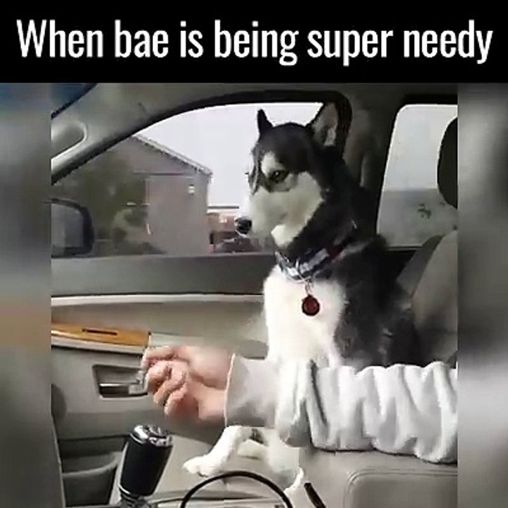 When Bae is Being Super Needy