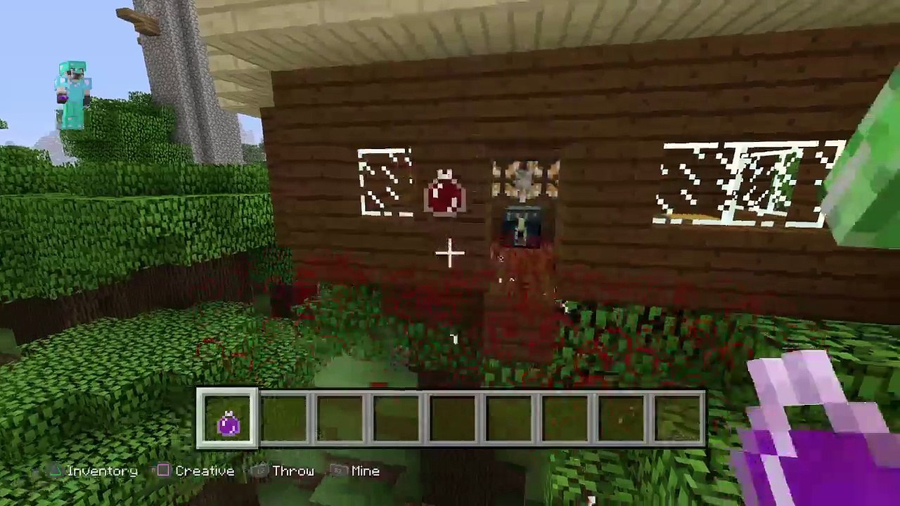 Minecraft (11)