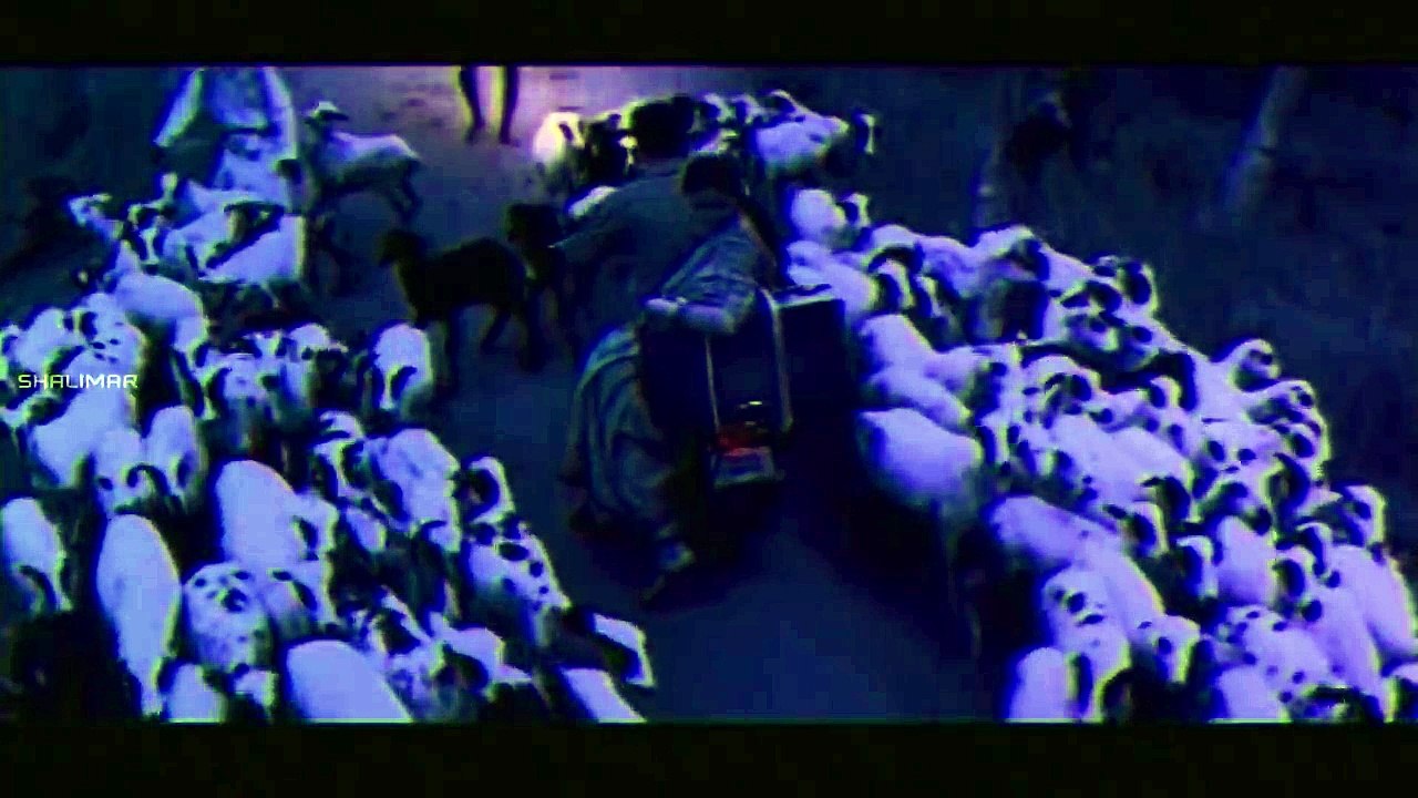 Nuvvuthappa Nenu Video Song - Pothuraju Movie - Kamal Hassan, Abhirami