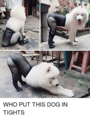 IF YOU SMILE YOU HAVE TO RESTART THE VIDEO!