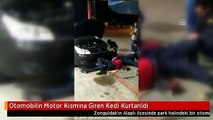 Otomobilin Motor Kısmına Giren Kedi Kurtarıldı