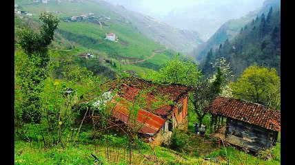 Araklı Turnalı Köyü