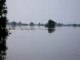 Vol du Goeland - Lac Tonle Sap