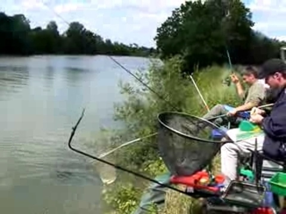 Pêche feeder Loir Seiches