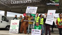 Châteauneuf-les-Martigues : action choc d'associations contre l'huile de palme
