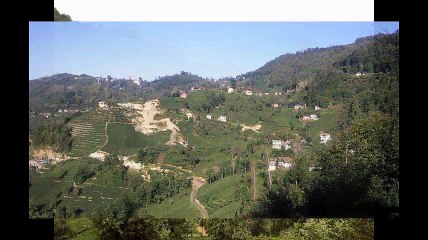 Araklı Türkeli Köyü