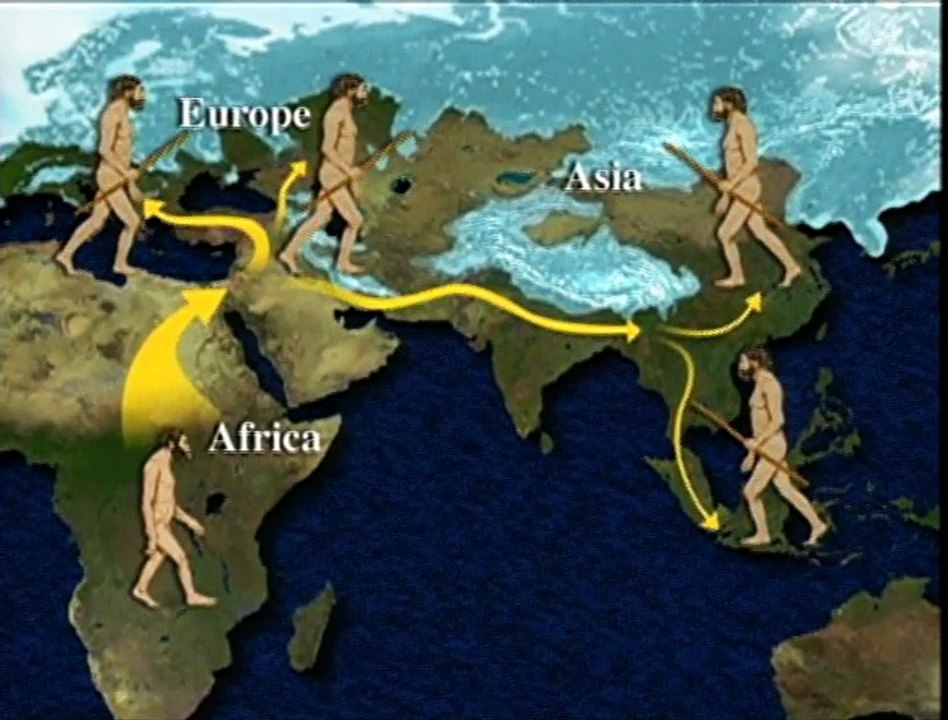 PaleoWorld Missing Links