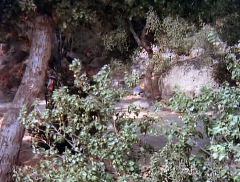 Planet der Affen  E13